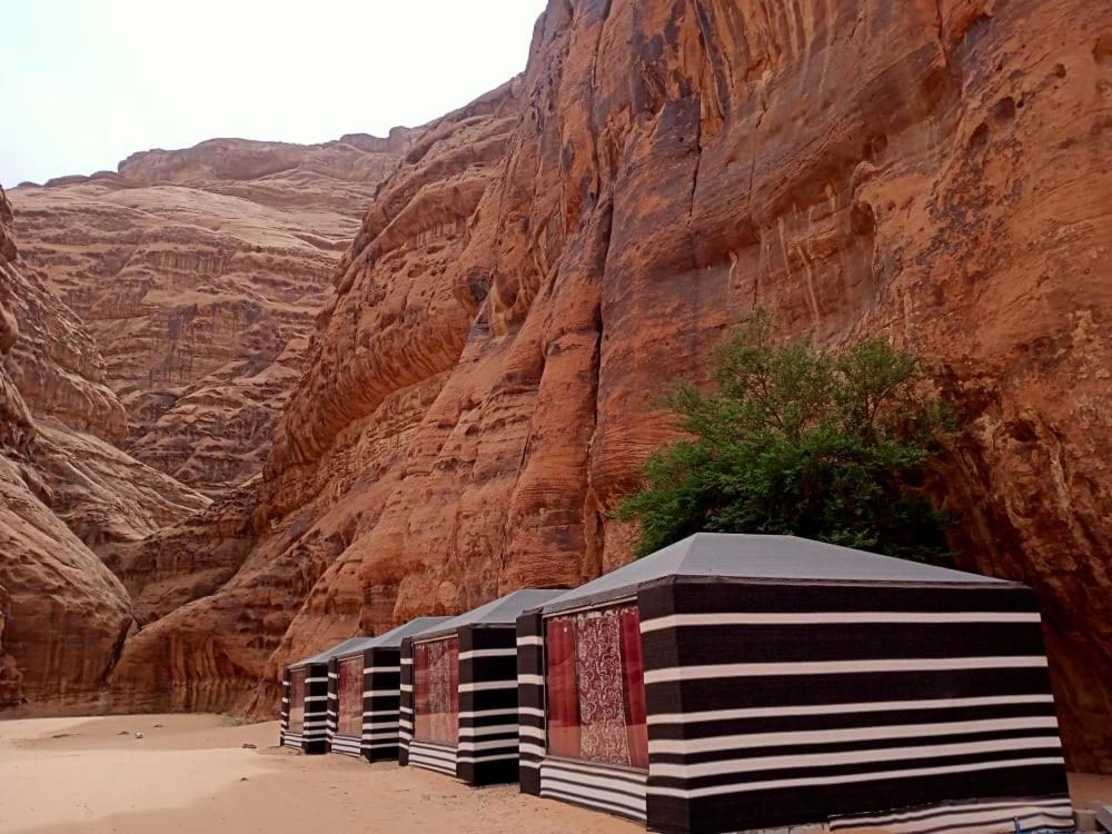 Shahrazad Desert, Wadi Rum Exterior foto