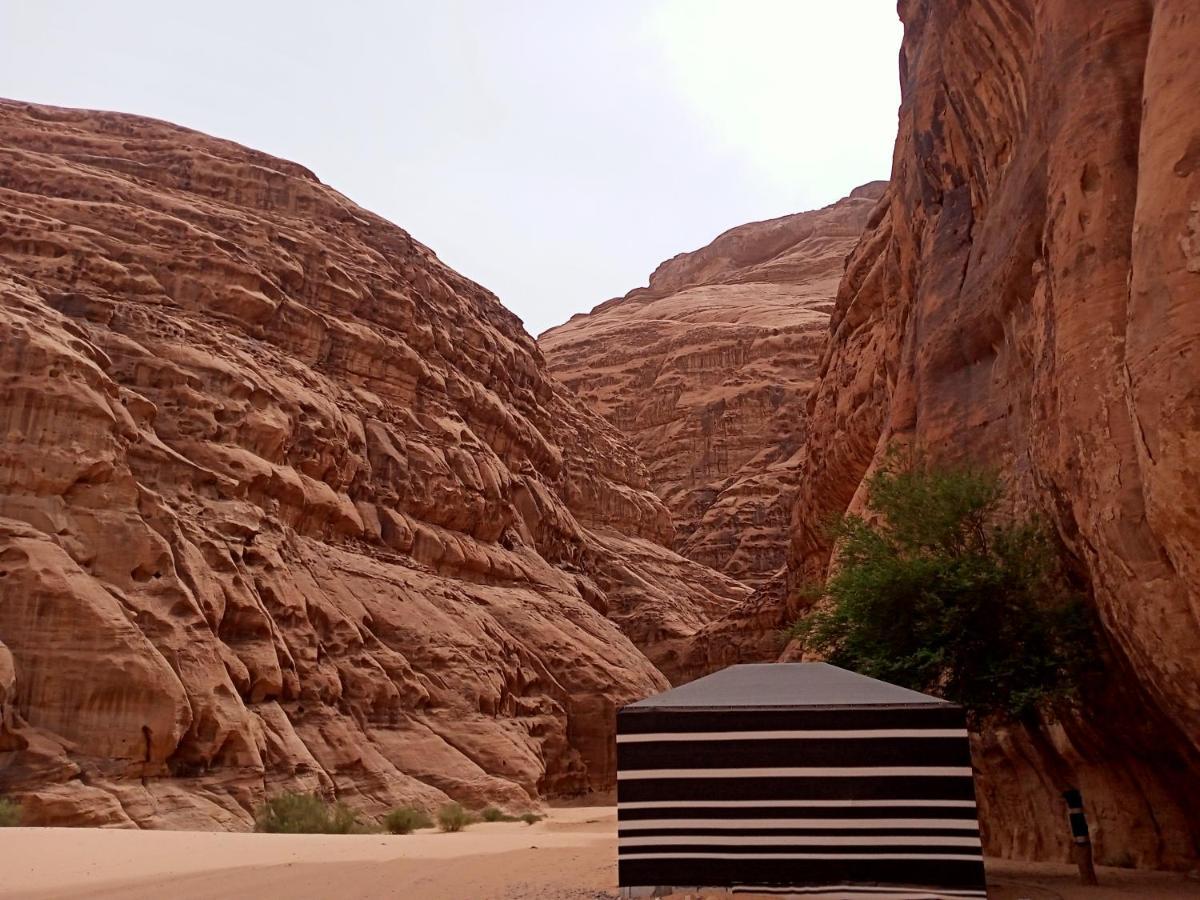 Shahrazad Desert, Wadi Rum Exterior foto